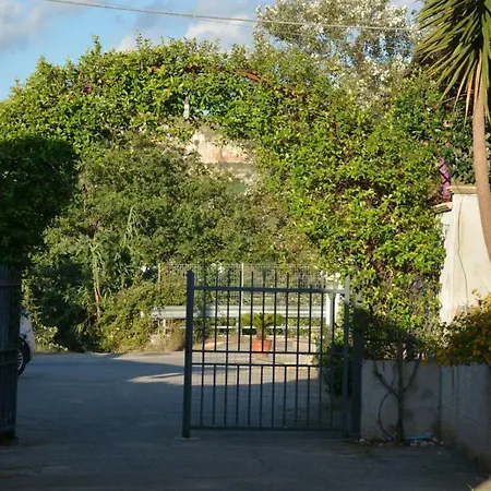 Collemare *